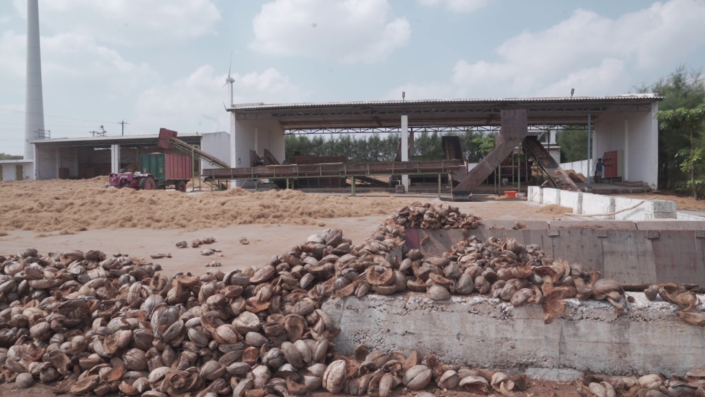 Fibre & Pith Extraction at Arjuna Exports