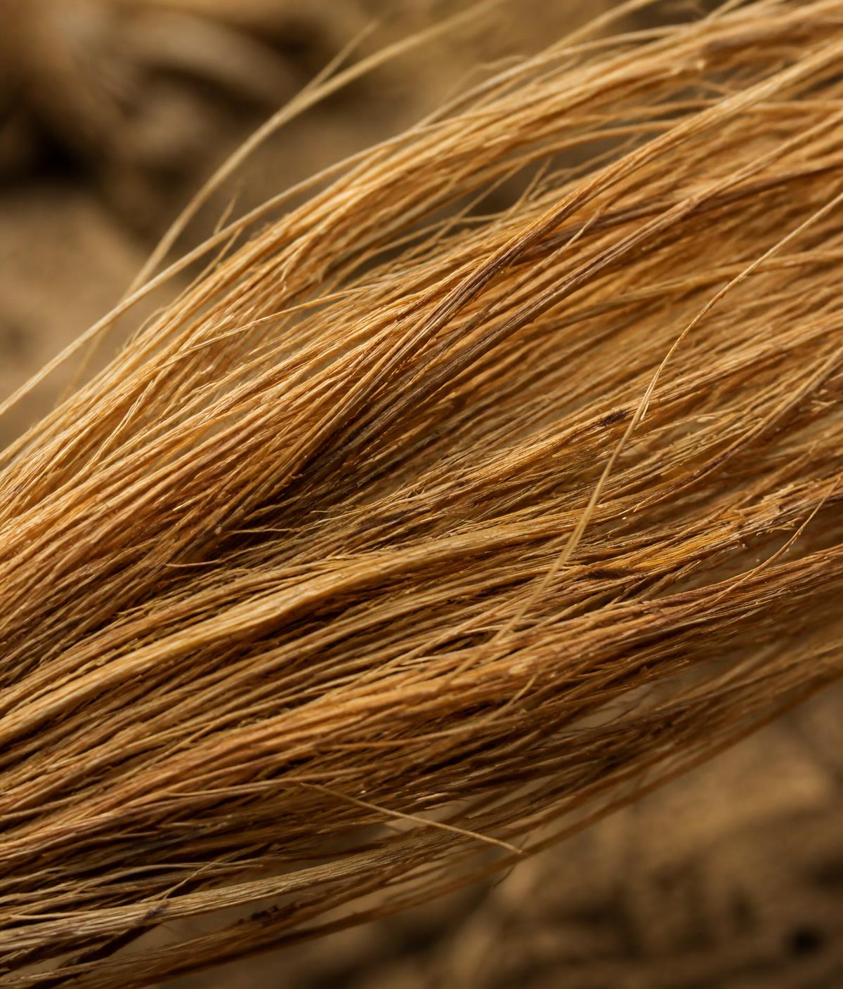 How coco coir particle size quietly decides growth, fruit quality, and yield?