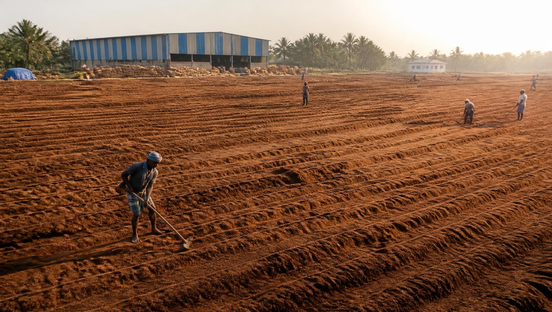 Low EC vs High EC Coco Peat: Which Should You Choose?