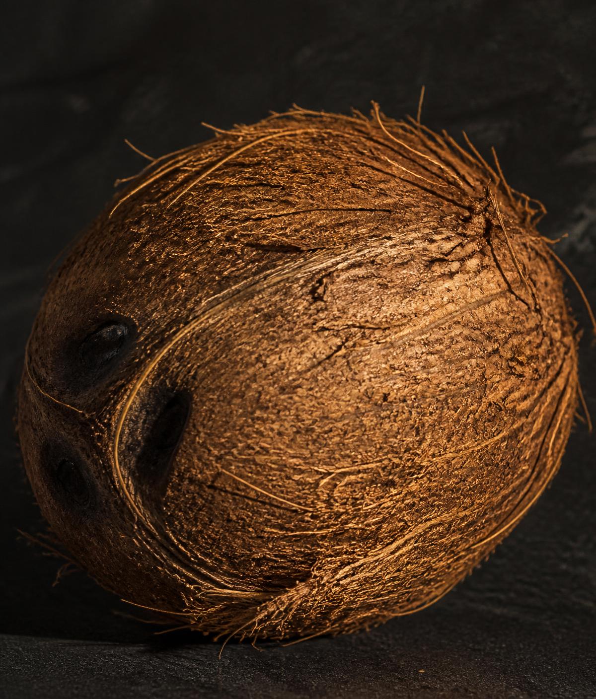 Why Early Planning Matters when Sourcing Coco Peat for the Season?