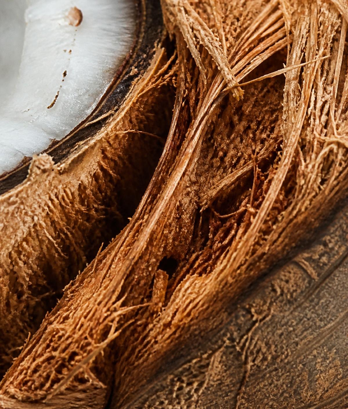 Coco peat, coconut husk chips and coco fibre